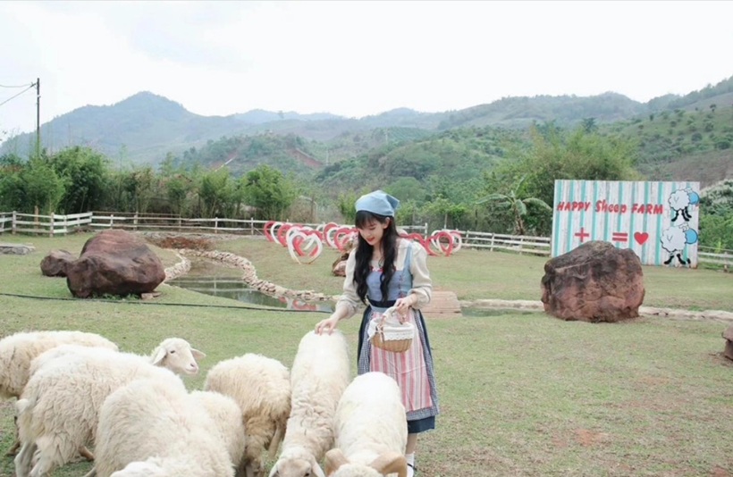 Happy Land Mộc Châu - Du lịch Tây Bắc 5N4D Tết